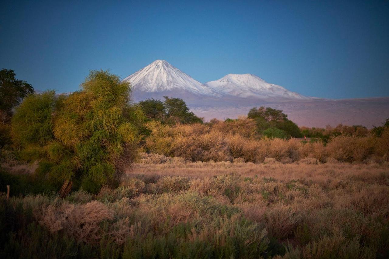Casa Chincol Guest House San Pedro de Atacama Exterior foto